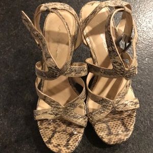 Via Spiga snake wedge sandal